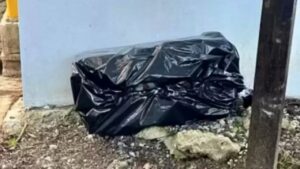 Lo sgomento della direttrice di un rifugio: la scoperta sconvolgente dentro un sacco della spazzatura (VIDEO)