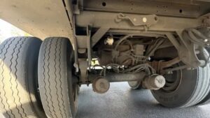 Un camionista scopre un gattino sotto il suo camion e decide di adottarlo dopo un lungo viaggio